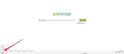 patsnap|patsnap wikipedia.